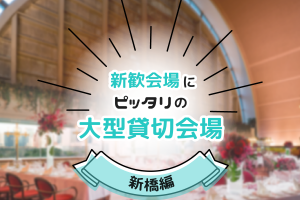 【100名以上】新歓会場にピッタリの大型貸切宴会場・新橋編